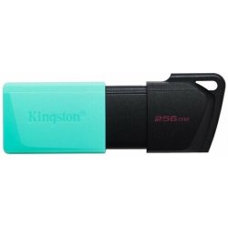 Kingston 256GB USB 3.2 DataTraveler Exodia M DTXM/256GB